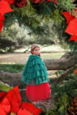 THE CHRISTMAS CAPE -Trish Scully Dresses Outlet Store christmascape5