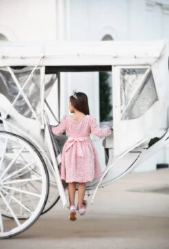 EMMA SEQUIN DRESS PINK -Trish Scully Dresses Outlet Store emmapink4