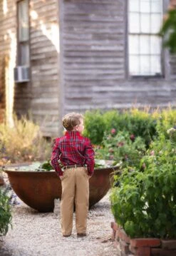 HENRY PANT CAMEL -Trish Scully Dresses Outlet Store henrycamel3